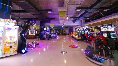 9.9元暢玩城市風(fēng)暴動(dòng)漫城——30枚游戲幣盡享廈門動(dòng)漫游戲開發(fā)魅力